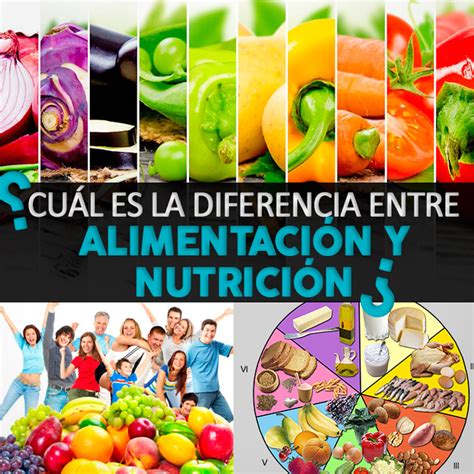 Cuál Es La Diferencia Entre Alimentación Y Nutrición La Guía De Las