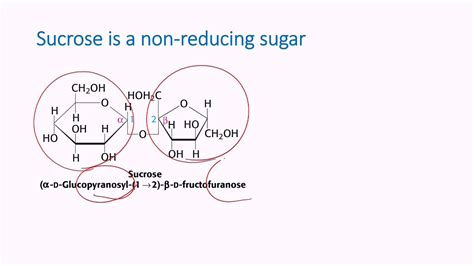 Is Sucrose A Reducing Sugar