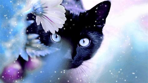 Cat With Flower Wallpapers Wallpaper Cave