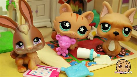 Baby Daddy Boot Camp Lps Mommies Series Littlest Pet Shop Part 68