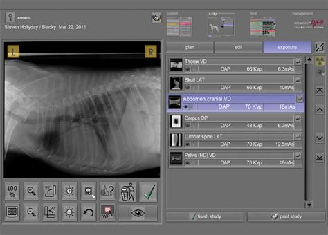 Veterinary Digital Radiography Cdr Dicom Themeroc