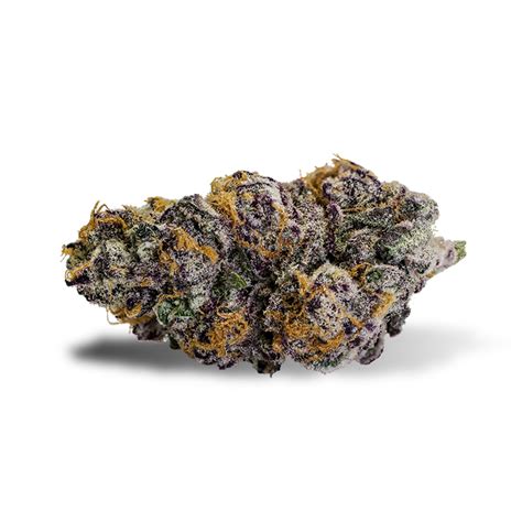 Purple Punch Strain Recreational Cannabis Dispensary Theory Wellness