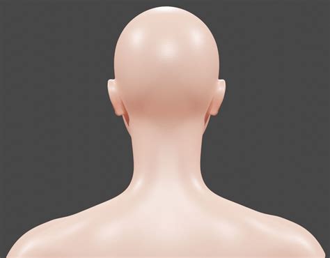 Female Human Head Free 3d Model Cgtrader