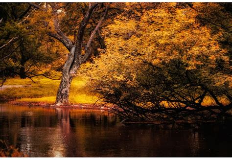 1920x1080px 1080p Free Download Autumn River Leaves Colors Sunset
