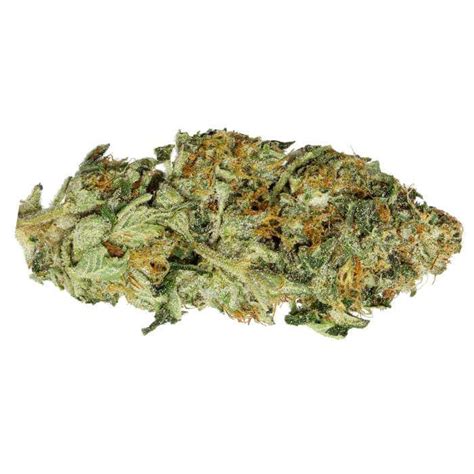 Blue Cheese Strain For Sale Mega Weed Dispensary
