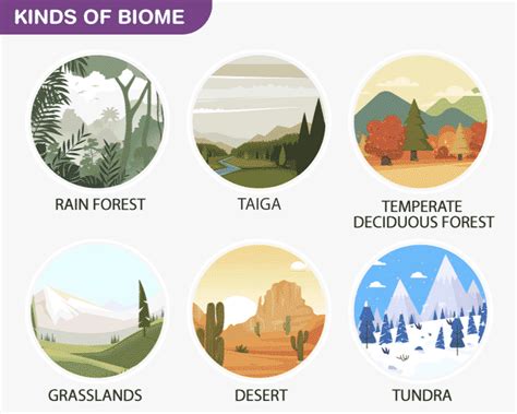 What are terrestrial terrestrial animals: The Major Biomes of the World - Terrestrial and Aquatic biomes