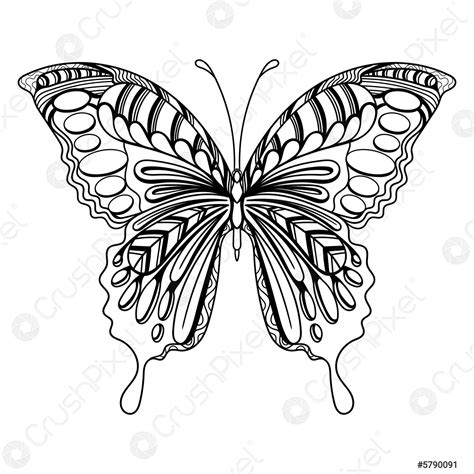 Butterfly Art Mandala Zentangle Coloring Page Illustration Stock