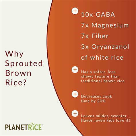 Planet Rice Sprouted Brown Gaba Rice For Meal Prep And Bulk Cooking