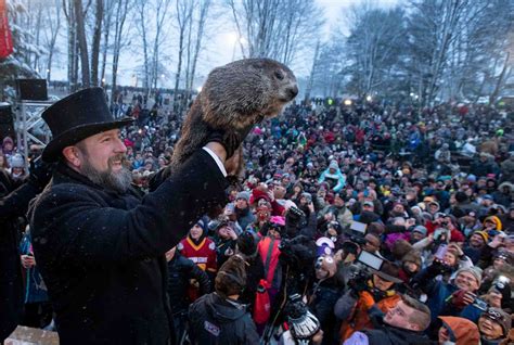 groundhog day 2021 the best memes about punxsutawney phil film daily