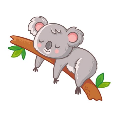 Sleeping Koala Stock Photos Pictures And Royalty Free Images Istock