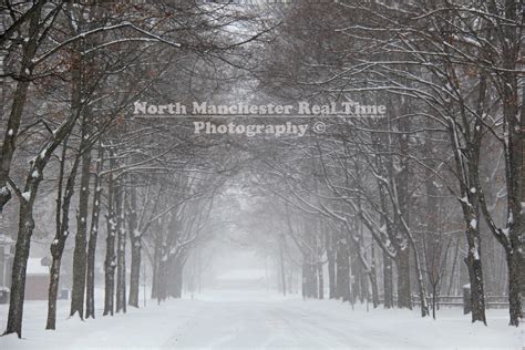 West Seventh Street. Trees covered in snow canopy the ...