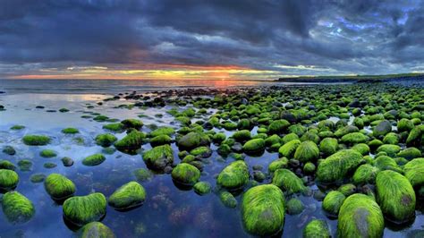 2000809 Rocks Beach Moss Nature Clouds Sea Iceland Rare