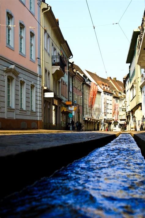 Außerdem singt puh unglaublich gerne. Cityguide Freiburg: Insider-Tipps für Euren Städtetrip ...