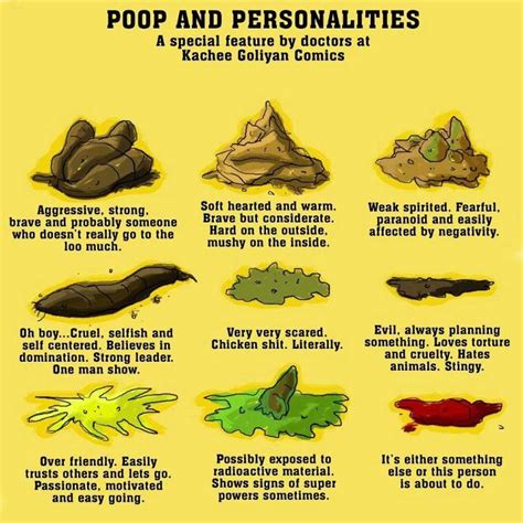Different Types Of Poop Meme