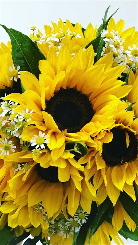 Sunflower And Daisy Wedding An Immersive Guide By Julie Nicholas Florist