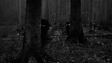 Creepy Eyes And Shadow Figures Hiding Behind Trees Normal Paranormal