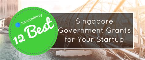 The 12 Best Singapore Government Grants For Your Startup Invoiceberry