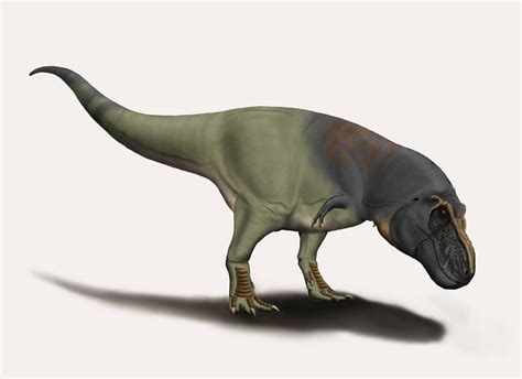 Tarbosaurus Bataar By Durbed On Deviantart Dinosaurs Alive Reptiles