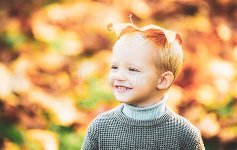 Autumn Happy Child Have Fun And Playing With Fallen Golden Leaves Cute