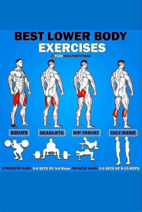 The Best Lower Body Exercises For Men
