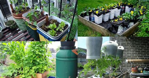Indoor water gardens are a fun and unique way to display aquatic pond and aquarium plants in your home. 14 Best DIY Self-Watering Container Garden Ideas | Balcony ...