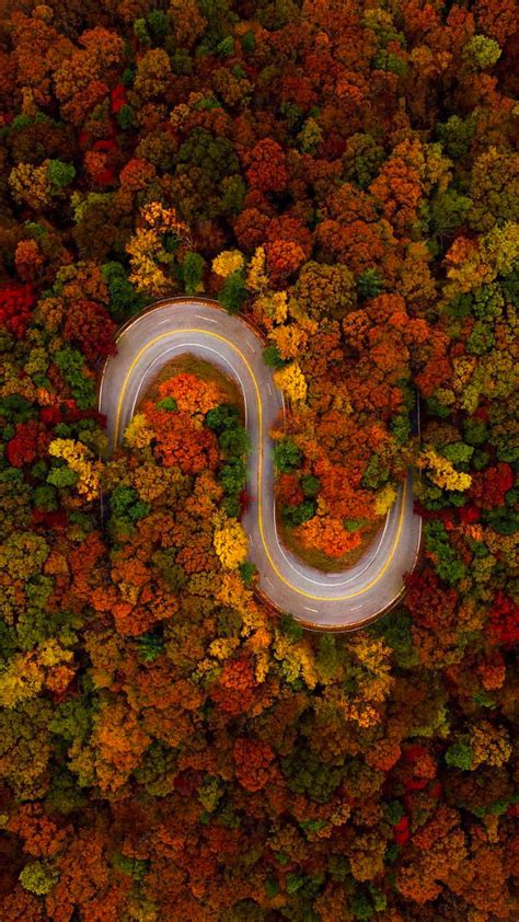 Aerial Foliage Trees Fall Leaves Roads Colors Hd Phone Wallpaper