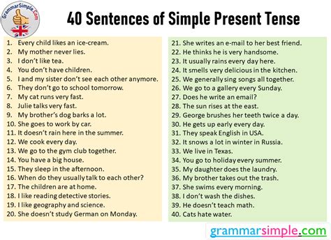 40 Sentences Of Simple Present Tense Example Sentences Grammar