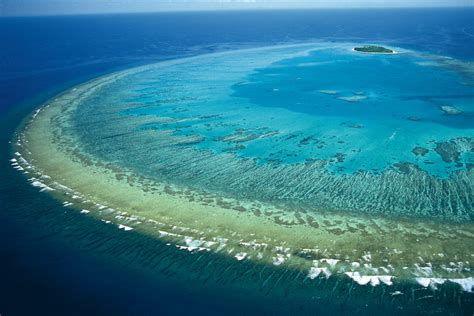 The Great Barrier Reef Australias National Treasure 1 Million Women