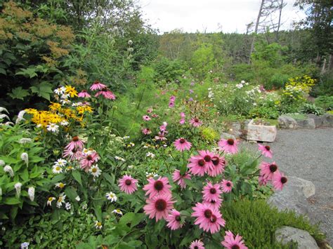 Tour Of Mun Botanical Gardens Newfoundland Photos And Video