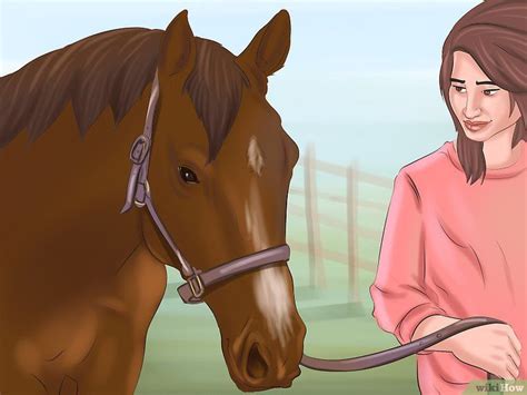 4 Ways To Get Your Horse To Trust And Respect You Wikihow Respect