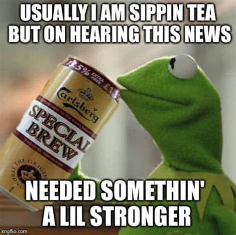 25 Kermit The Frog Memes That Are Insanely Hilarious