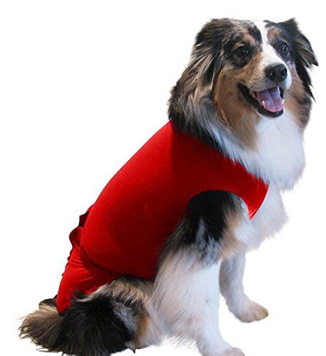Best Puppy Onesies 8 Cute Useful And Practical Puppy Onesies