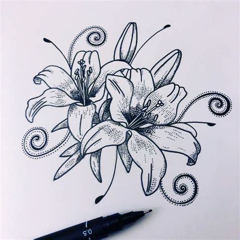 Inktober Stargazer Lilies R Drawing