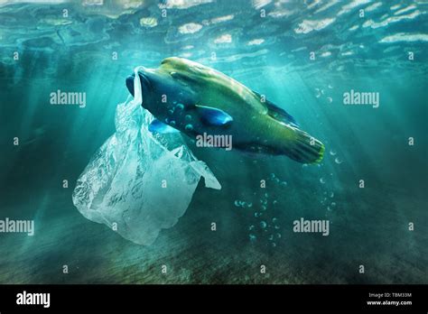 Plastic Pollution Fish High Resolution Stock Photography And Images Alamy