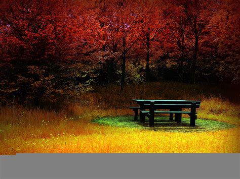 Amazing Desktop Wallpaper Autumn Beauty