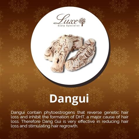 Chinese medicine is effective at treating hair loss by addressing the underlying imbalances and deficiencies that cause hair loss. Luxe Scalp Specialist is known for using only premium ...