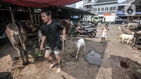 Ppkm Darurat Begini Panduan Kurban Idul Adha Di Jabar Regional