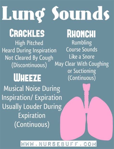 Lung Sounds Nursing Mnemonics Nursing Mnemonics Nursing School Tips