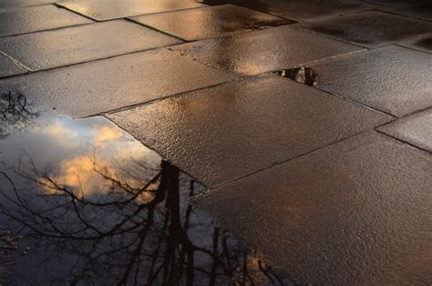 Footpath And Puddle Free Stock Photo Public Domain Pictures