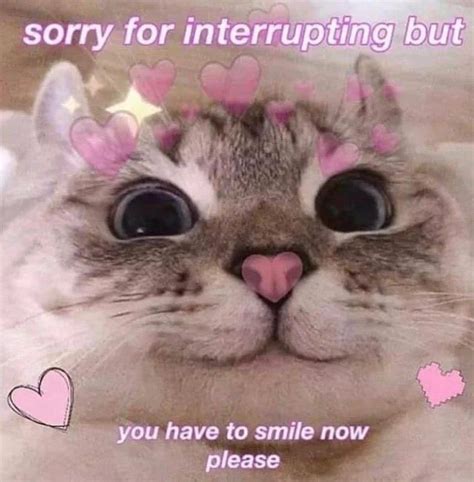 Not in my olive garden, jerry. Pin by thecausticcat on wholesome in 2020 | Cute love ...