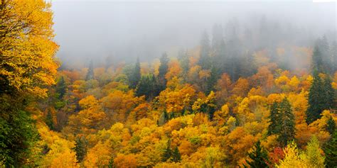 Mountain Fog Fall Colors Smoky Mountains Fine Art Print Photos By