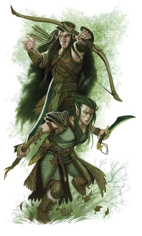 Elf Variant 4e Race Dungeons And Dragons Wiki Fandom