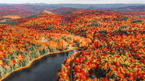 15 Most Beautiful Fall Leaves Youtube