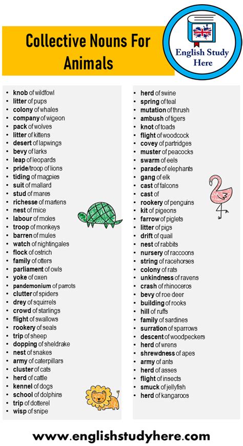 Collective nouns are nouns which refer to groups of people or things. +75 Collective Nouns For Animals Word List - English Study ...