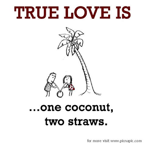 True Love Is One Coconut Two Straws True Love Cute Happy Quotes Cute Love Quotes