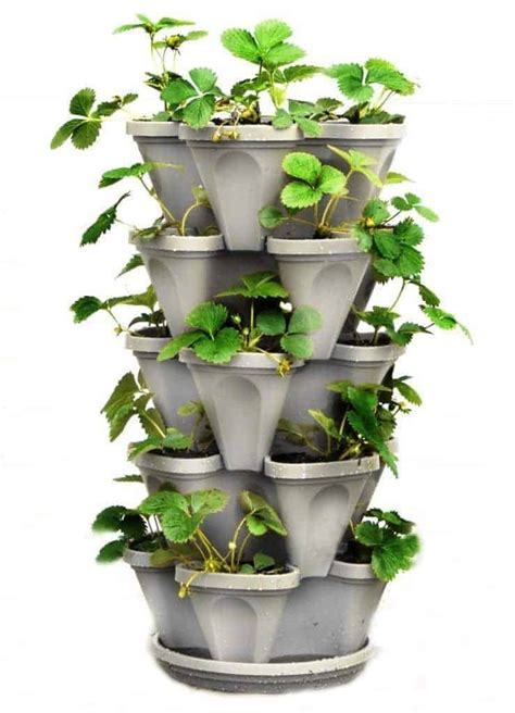 Stackable Strawberry Planter The Handymans Daughter