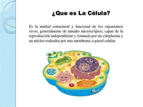 Presentación Sobre Las Células Definición Que Es Una Celula