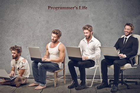 A Programmers Life An Overview Dotnetlanguages