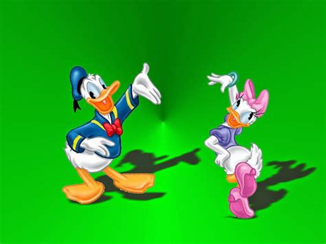 Disney Hd Wallpapers Daisy And Donald Duck Hd Wallpapers