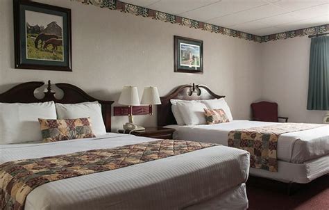 With its charming decor and comfortable amenities, our amish country hotel's facilities provide a warm and welcoming environment for all guests. Bird-in-Hand Family Inn - Resort & Hotel in Lancaster ...